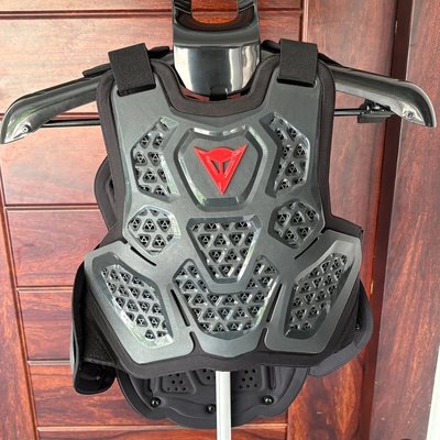 Dainese MX3 Roost Guard